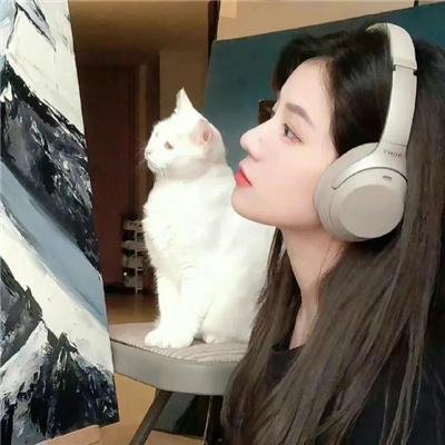 伪情半生 在线观看